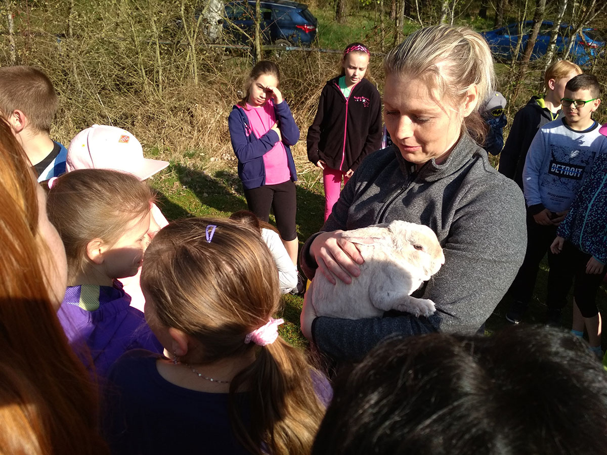 Environmentální oblast